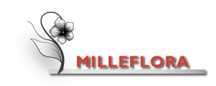 milleflora, application de reconnaissance des fleurs